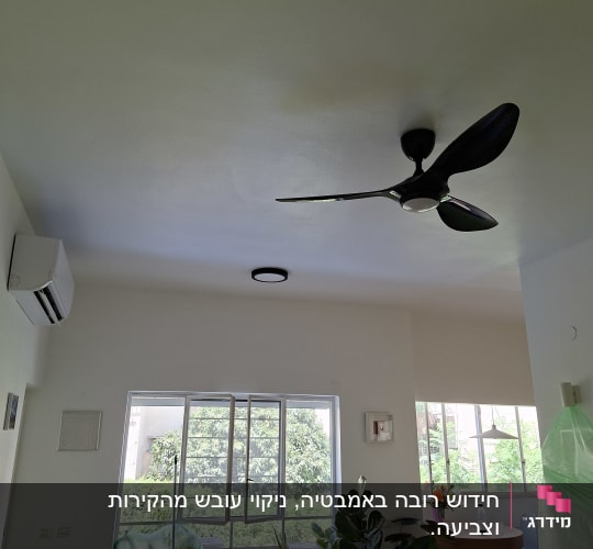 חדר עם מאוורר תקרה, חלונות וצמחים